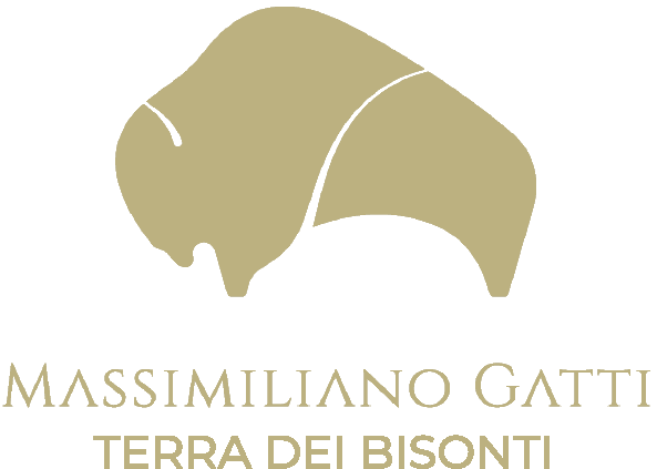 Massimiliano Gatti — Terra dei Bisonti